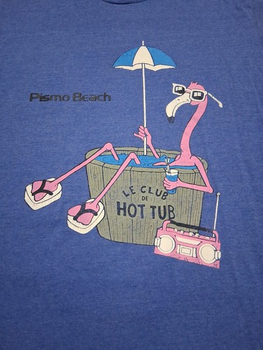 Vintage pismo beach flamingo - beach,